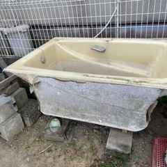 家庭菜園　畑　水　水溜め　雨水　浴槽　野菜　DIY メダカ　金魚の画像