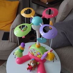 Toyroyal メリーの画像