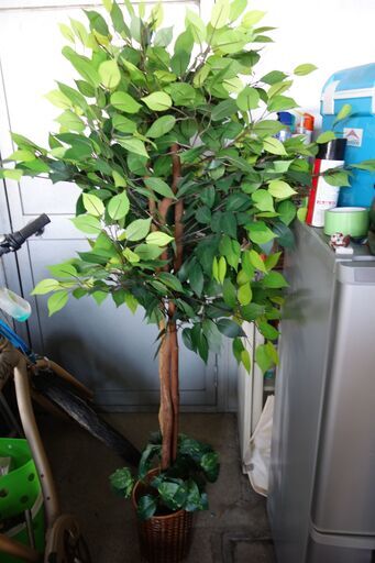 【お取引中】人工観葉植物　模造　インテリア