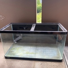 GEX 90cm 曲げガラス水槽の画像