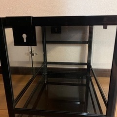 昆虫　小動物　爬虫類用　ガラスケース　取引決定の画像