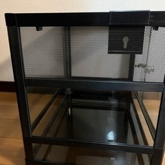 昆虫　小動物　爬虫類用　ガラスケース　取引決定の画像