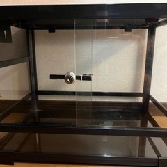 昆虫　小動物　爬虫類用　ガラスケース　取引決定