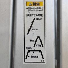 0729-064 フリーラダーの画像