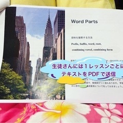 医療英語のオンラインレッスン！院生の元アメリカ看護師が教える、すぐ現場で使える❗️医療英語（医療用語）の画像