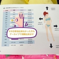 医療英語のオンラインレッスン！院生の元アメリカ看護師が教える、すぐ現場で使える❗️医療英語（医療用語）の画像