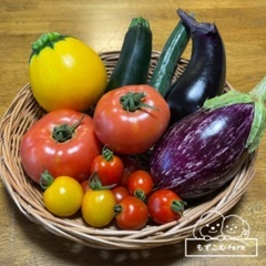 農薬化学肥料不使用！夏野菜あります🍅🍆🥒