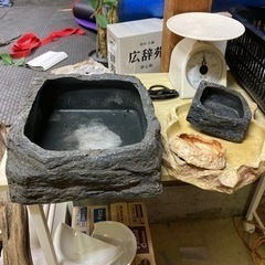 ※珍　爬虫類飼育用品せっと　イグアナの画像