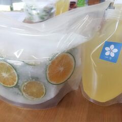【手のひら発酵】&SDGs　青みかんの酵素ジュースづくり　ワーク...