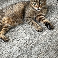 ⭐︎趣味仲間など友達募集中⭐︎