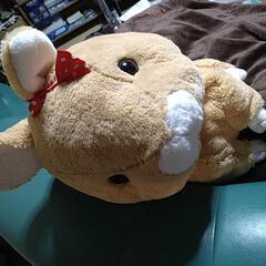 ぬいぐるみの画像