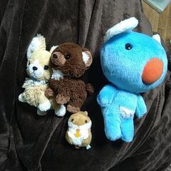 ぬいぐるみの画像