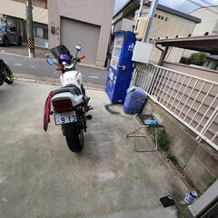 売り切り、値下げの画像