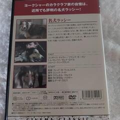 ☆差し上げます☆【DVD名犬ラッキー】シネマクラッシック(カラー88分)の画像