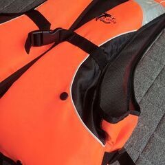 ライフジャケット　➁の画像