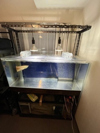 決まりましたオーバーフロー水槽セット