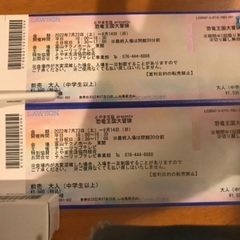 恐竜王国大冒険　大人前売り券　2枚の画像