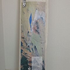 ﾀｰﾌﾟﾃﾝﾄ⛺️？(ﾈｲﾁｬｰﾗｲﾌ)【未使用品】の画像