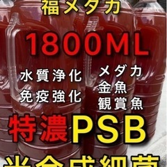 PSB メダカ　金魚　観賞魚　培養液　光合成細菌