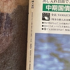 昭和レトロ　婦人百科の画像