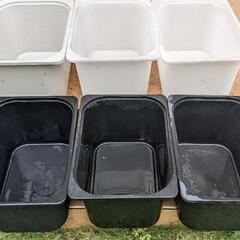トロファスト　6個セット　めだか容器