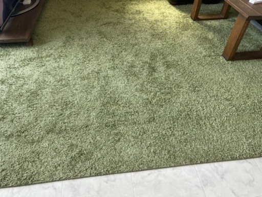 カーペット　グリーン