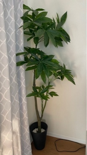 人工観葉植物