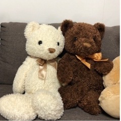 くまのぬいぐるみ　3つセットの画像