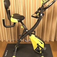 エアロバイク　アルインコ(ALINCO) AFB4309G