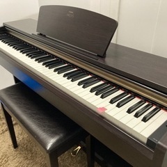 大特価！YAMAHA アリウス《YDP161》