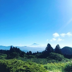 月一トレイルランニング