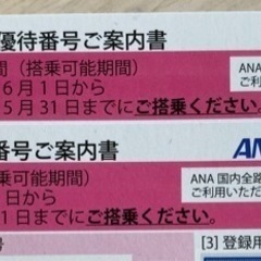 ANA株主優待券2枚組