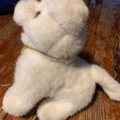 【難あり】ワンコのおもちゃの画像