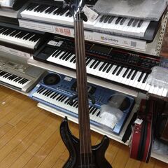 Aria Pro 2 フレットレスベース