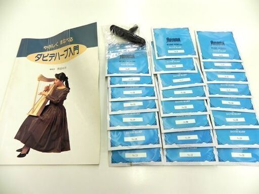 S&S DAVID HARP 23弦 青山ハープ ハープ 弦楽器 交換用弦あり ダビデハープ 教則本付属 札幌市 厚別区