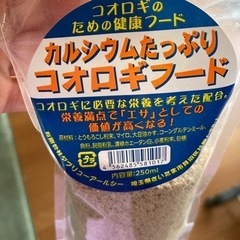 フタホシコオロギ　ペットの餌の画像