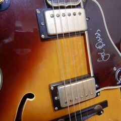 エピフォン・エンペラー（ジョーパスモデル）の画像