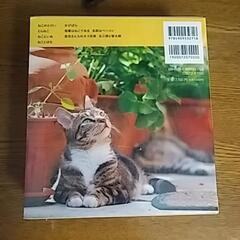 岩合光昭の猫の写真集の画像
