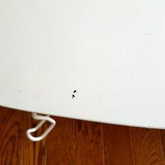 猫脚風白い折り畳みテ－ブルの画像