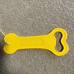アルファベット犬の画像