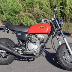 【走ります！】ホンダ　エイプ50