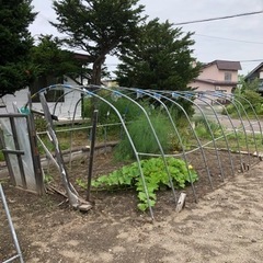 ビニールハウスの骨組み