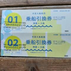 神湊ー大島　乗船引換券(無料券)二枚