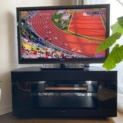 テレビはオマケ！ソニーブラビアとシアタースタンドシステム