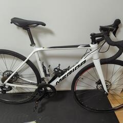 スクルトゥーラ400　2019年