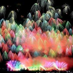明日8月7日、花火大会だけと言わず欲張りツアー！ - 八王子市
