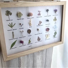 自由研究、おうち時間、親子制作に　tjの画像