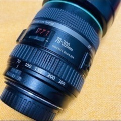 Canon EF70-300mm F4.5-5.6 DO IS USM