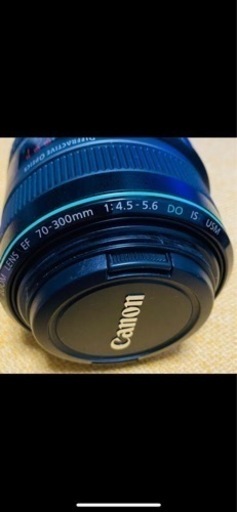 その他 Canon EF70-300mm F4.5-5.6 DO IS USM
