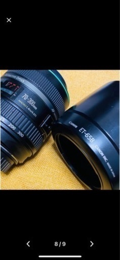 その他 Canon EF70-300mm F4.5-5.6 DO IS USM